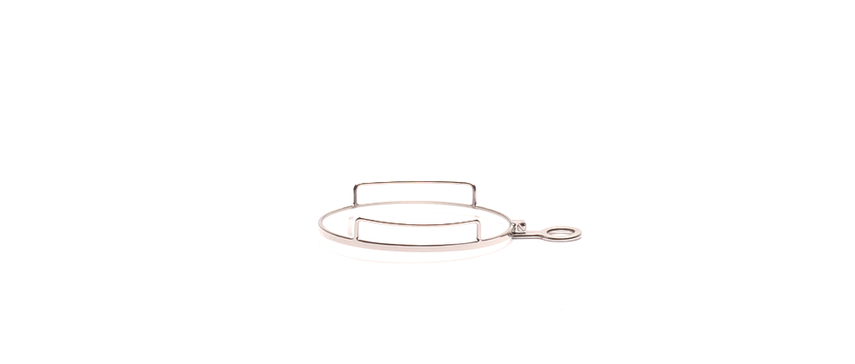 Monocle with gallery in silver