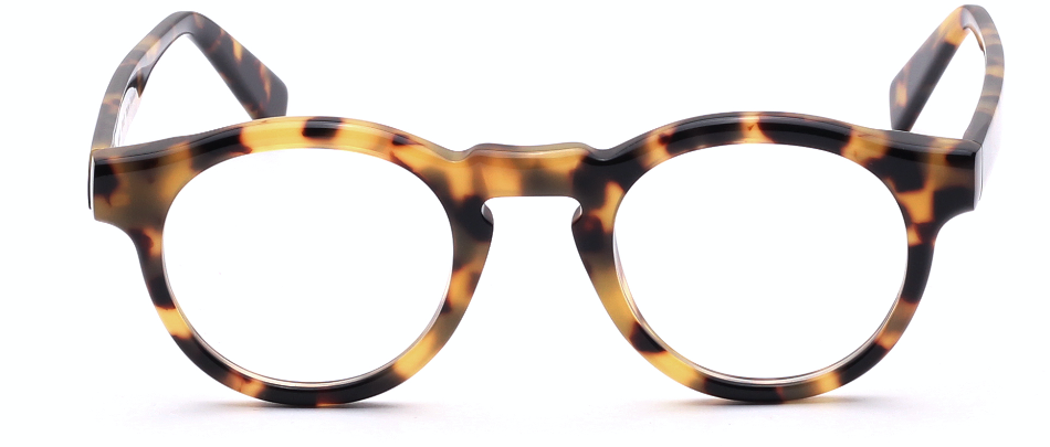 Max Tokyo Tortoise