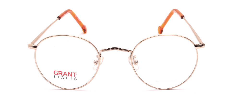 Grant Italia 104 F2